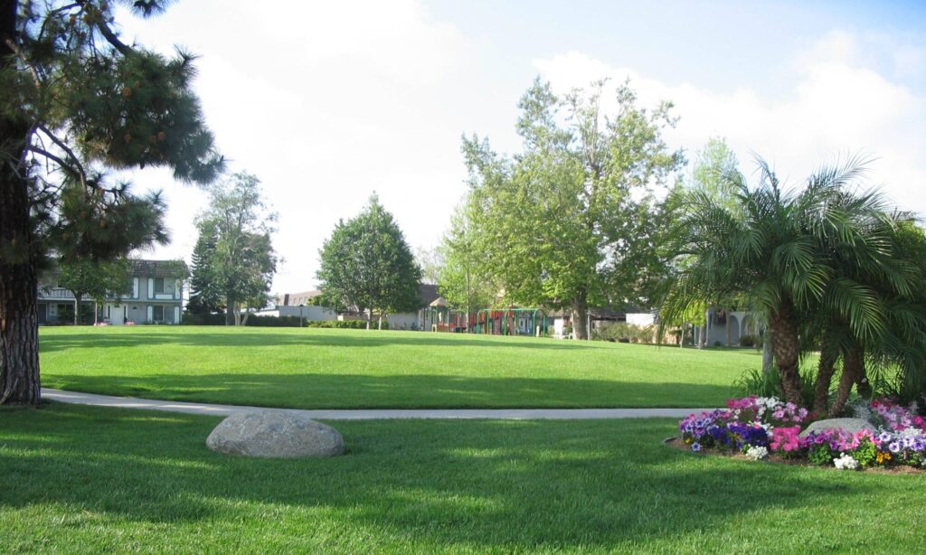 Newsletters Cypress Tanglewood