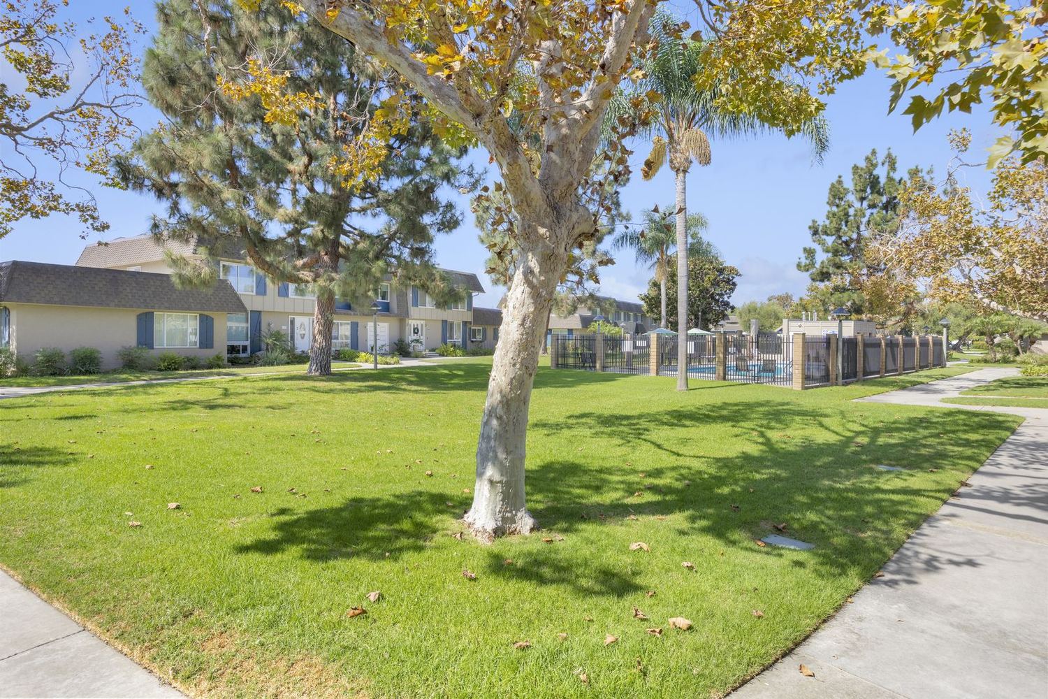 Greenbelts and mature trees threading between the homes