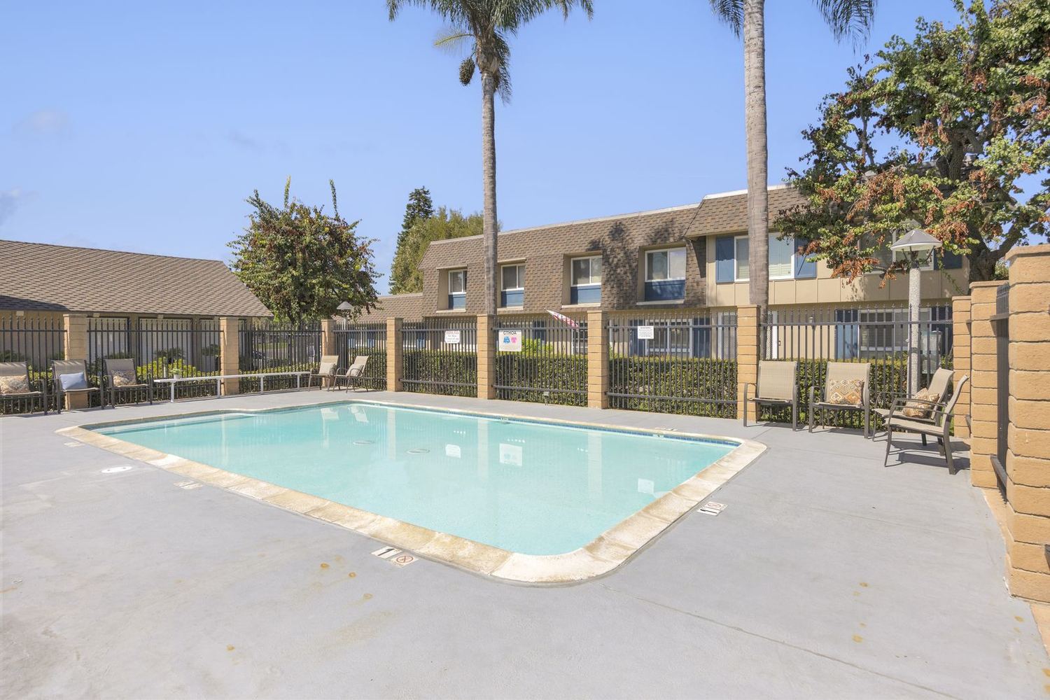 The main pool ringed by queen palms, with townhomes beyond