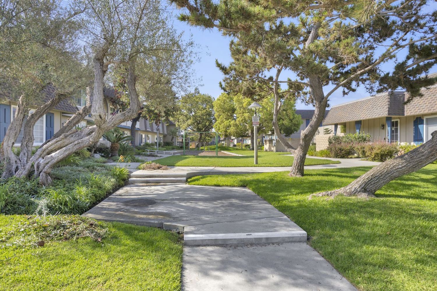 A shaded walkway winding between homes at Cypress Tanglewood